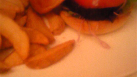 ミッドタウンバーガー