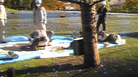 イルミネーション